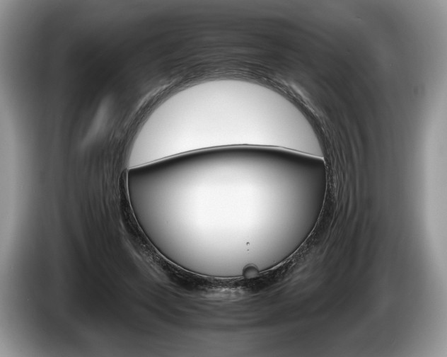 X0000087600543200704271045