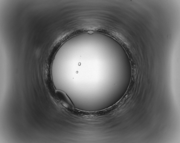 X0000087600544200704271045