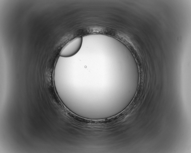 X0000087600545200704271045