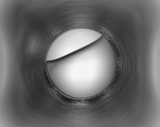 X0000087600550200704271045