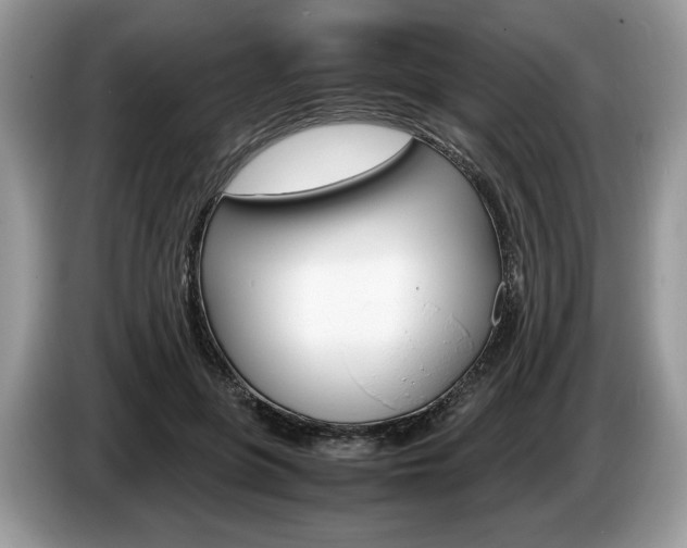 X0000087600551200704271045
