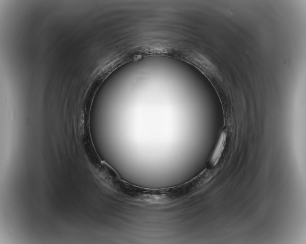 X0000087600552200704271045
