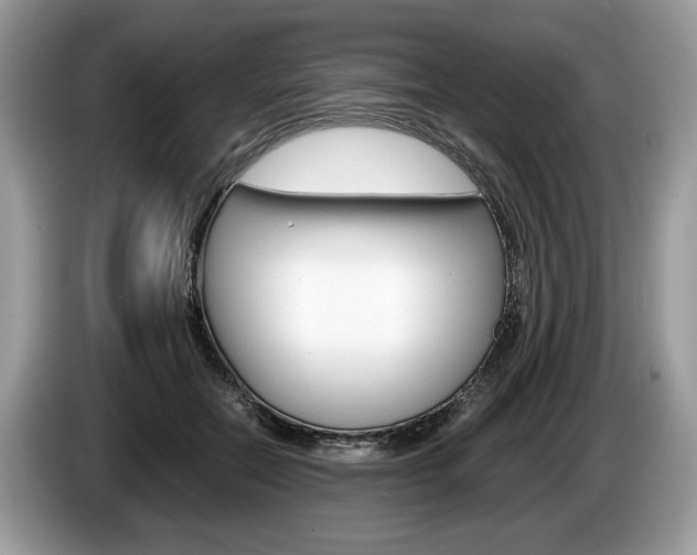 X0000087600554200704271045
