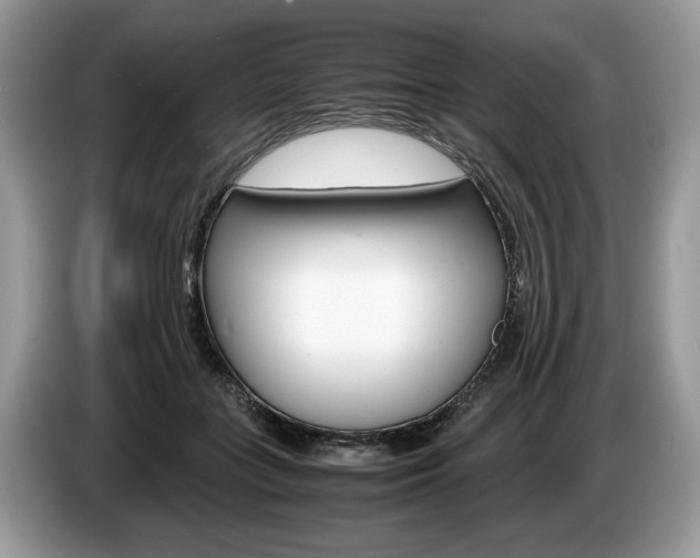 X0000087600555200704271045