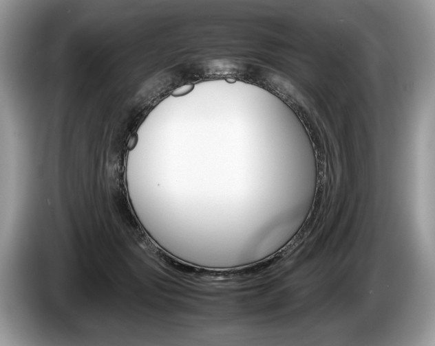 X0000087600557200704271045