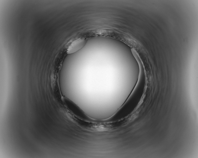 X0000087600558200704271045