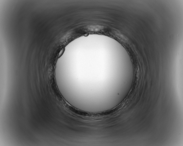 X0000087600559200704271045