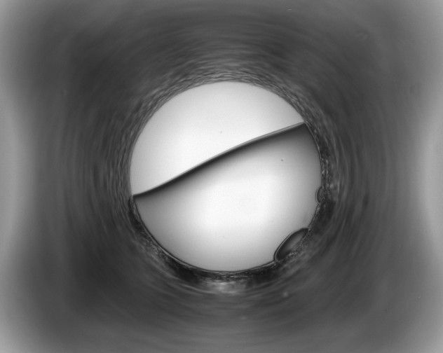 X0000087600563200704271045