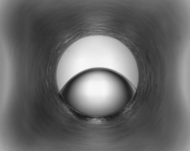 X0000087600566200704271045
