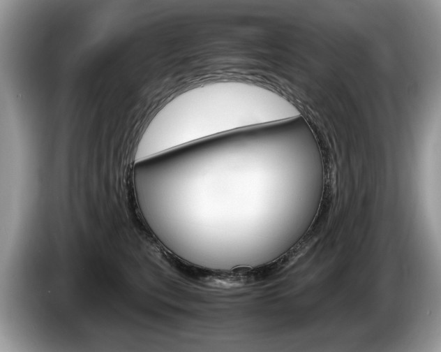 X0000087600567200704271045