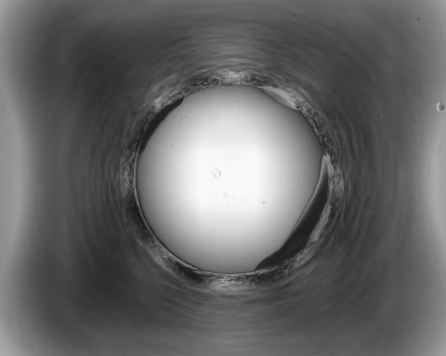 X0000087600568200704271045