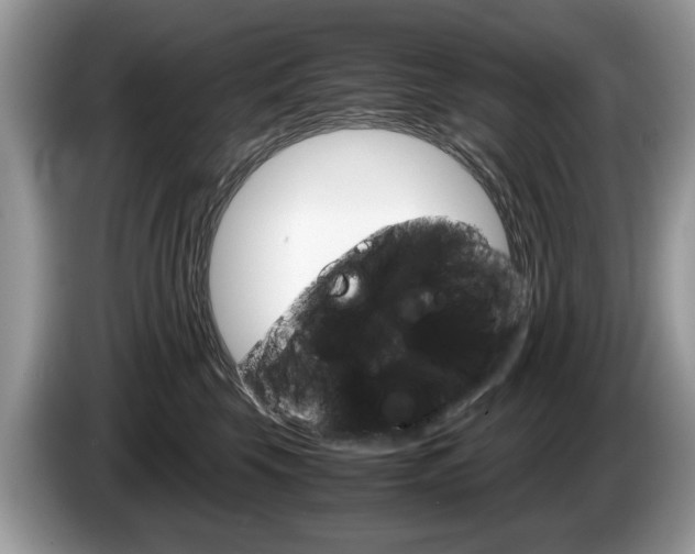 X0000087600569200704271045