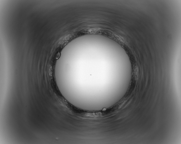 X0000087600571200704271045
