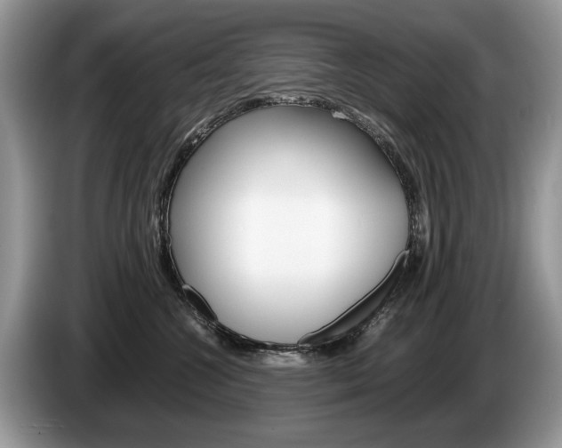X0000087600572200704271045
