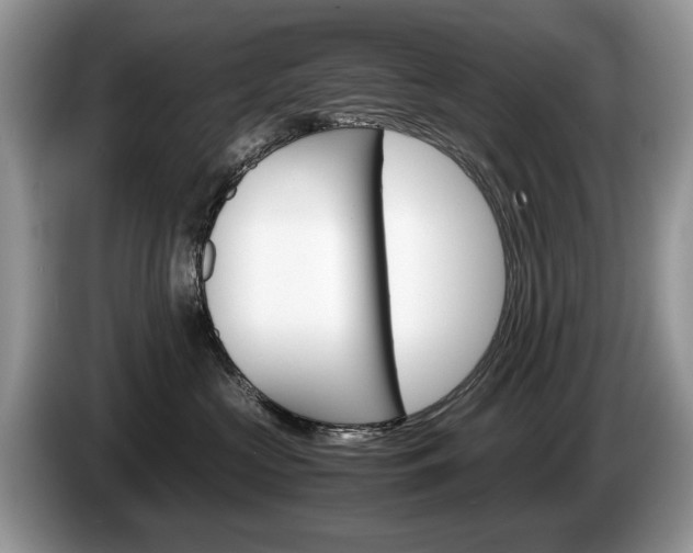X0000087600573200704271045