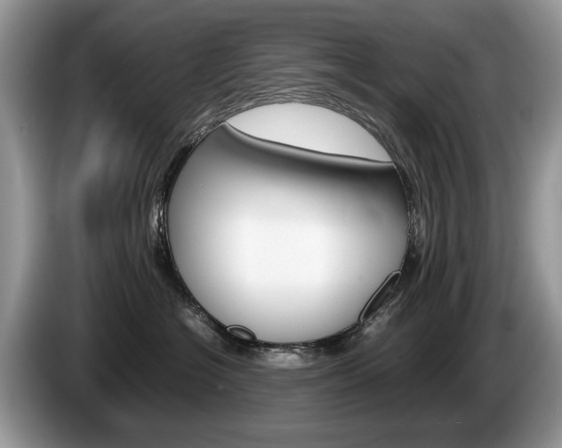X0000087600574200704271045