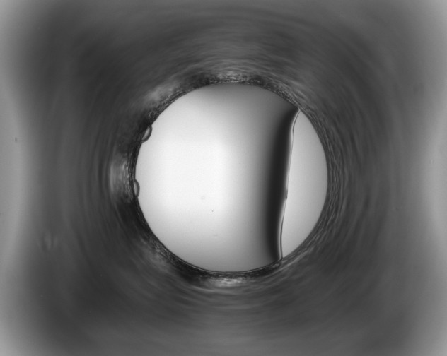 X0000087600575200704271045