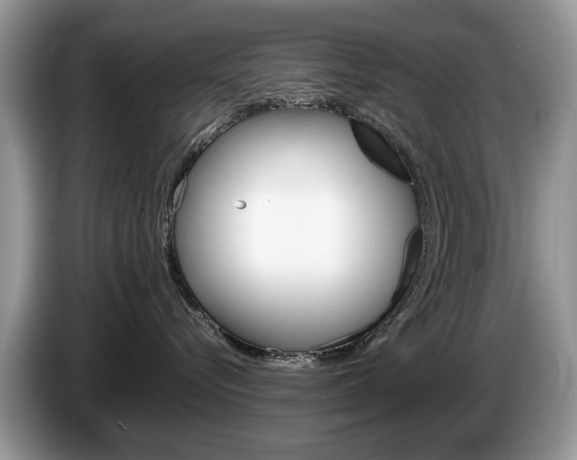 X0000087600576200704271045