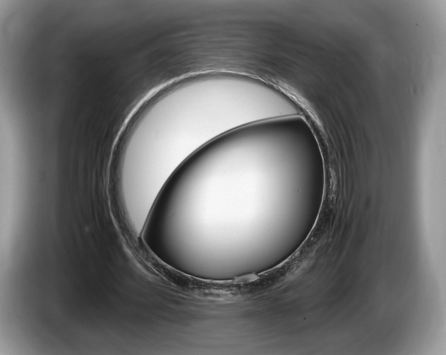 X0000087600580200704271045