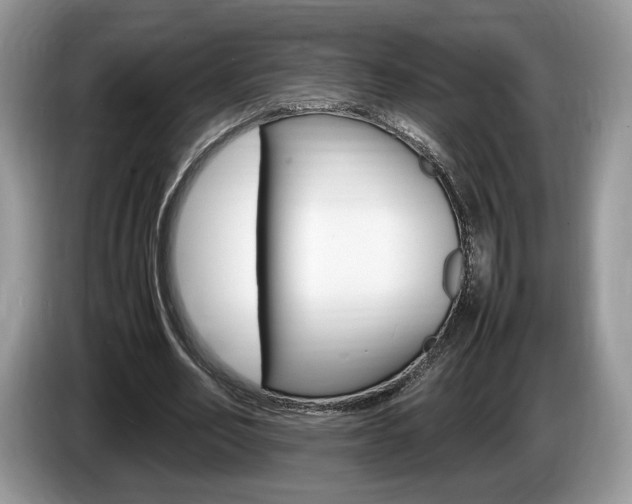 X0000087600582200704271044