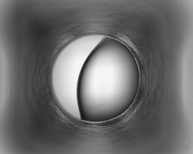 X0000087600585200704271044