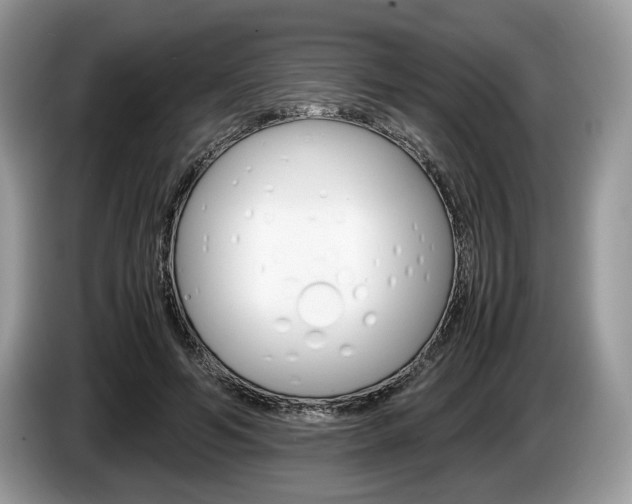 X0000087600594200704271044