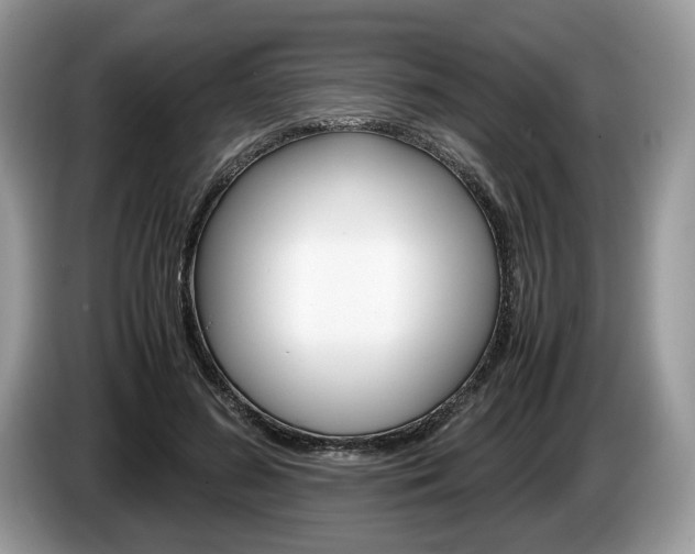 X0000087600596200704271044