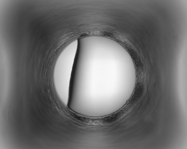 X0000087600599200704271044