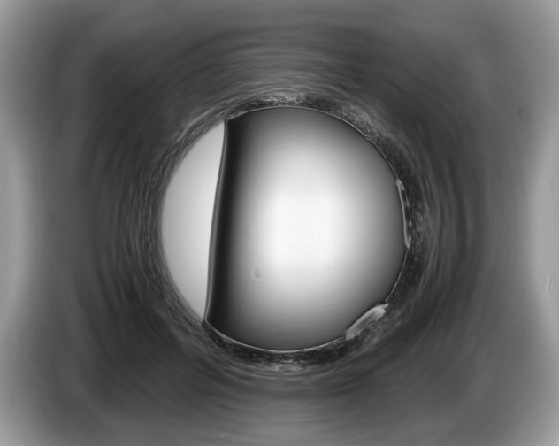 X0000087600600200704271044