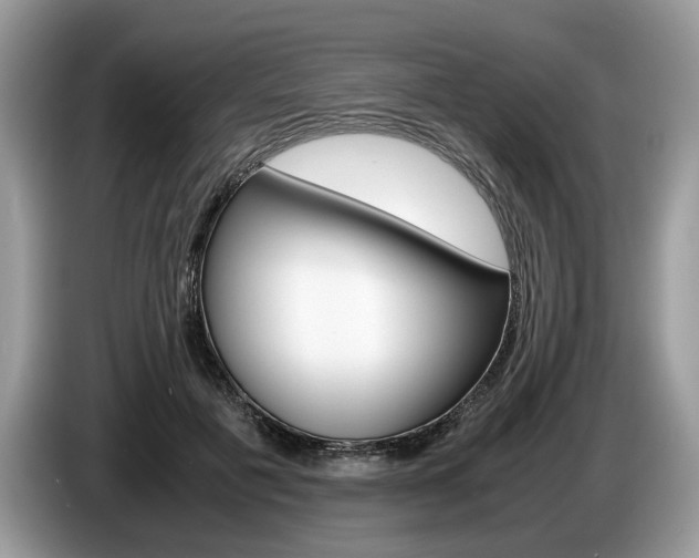 X0000087600601200704271044
