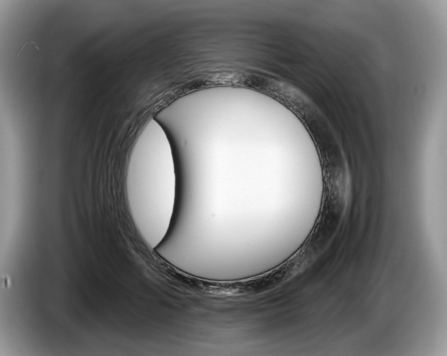 X0000087600602200704271044