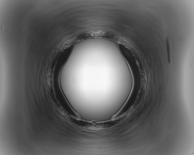 X0000087600604200704271044