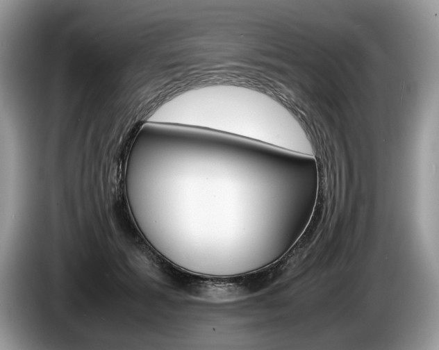X0000087600605200704271044
