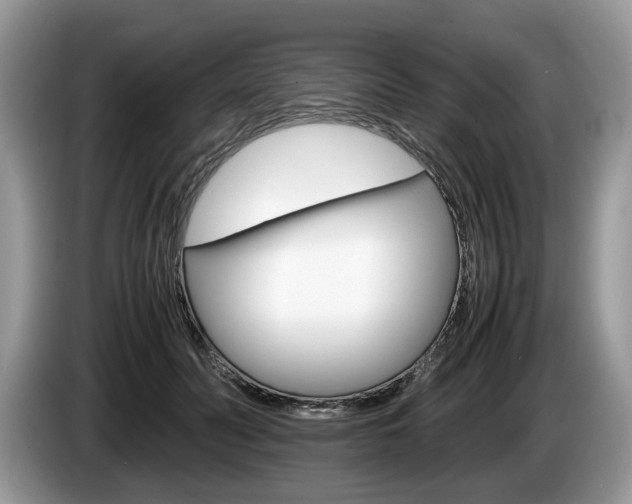 X0000087600606200704271044