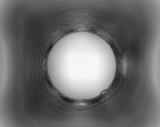 X0000087600610200704271044
