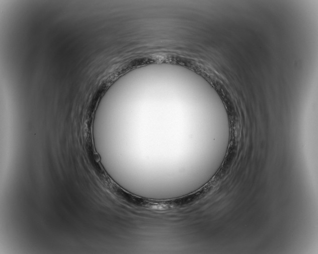 X0000087600611200704271044