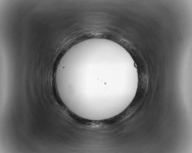 X0000087600612200704271044