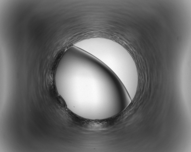 X0000087600613200704271044