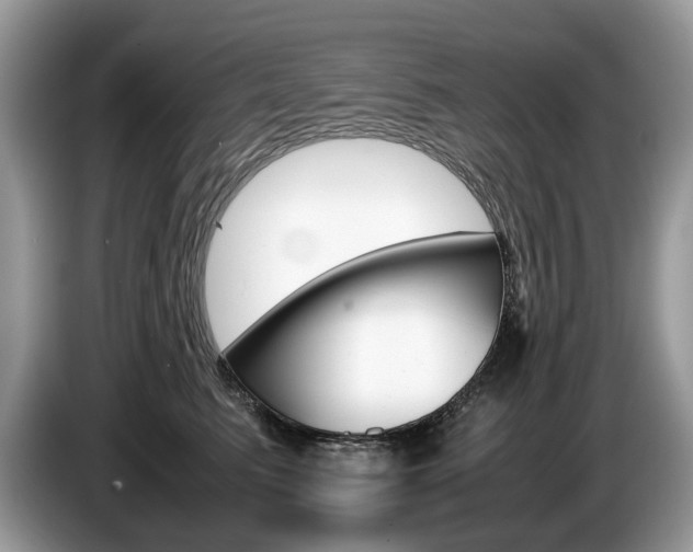 X0000087600615200704271044