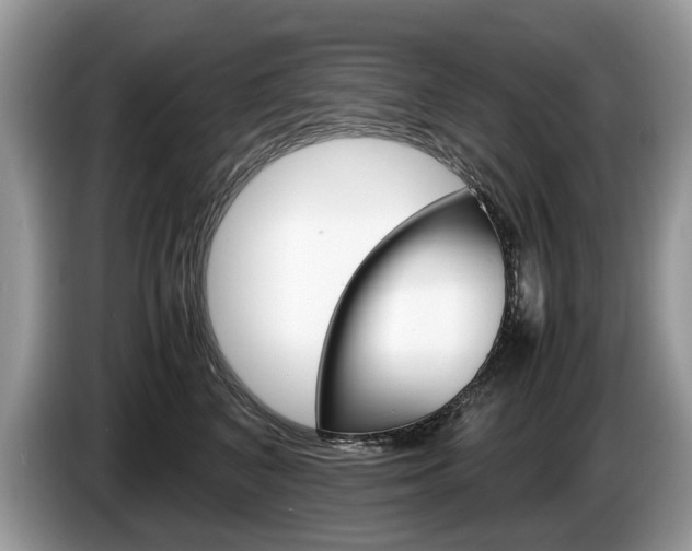 X0000087600616200704271044