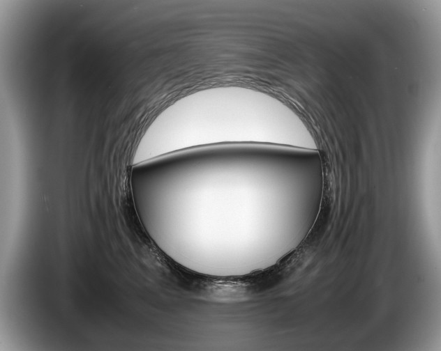 X0000087600617200704271044