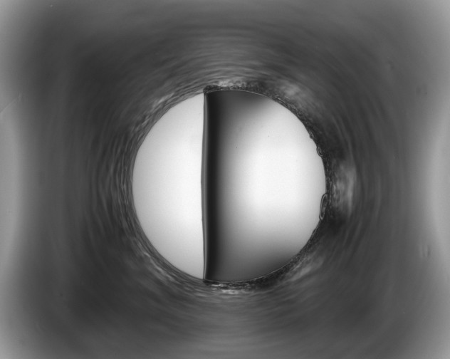 X0000087600620200704271044