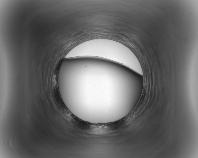 X0000087600621200704271044