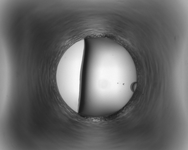 X0000087600624200704271044