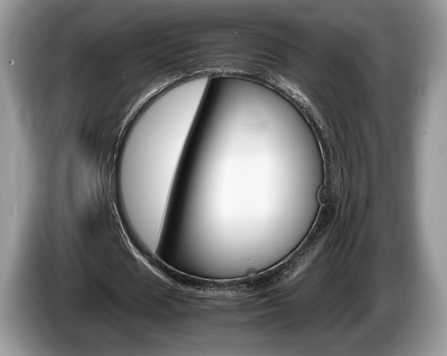 X0000087600625200704271043