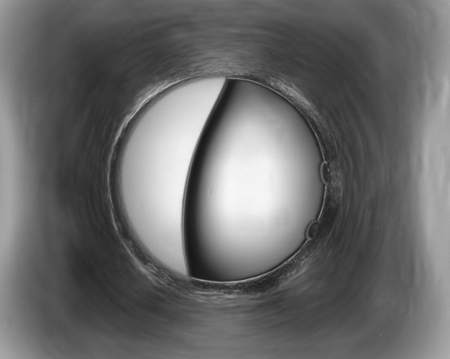 X0000087600626200704271043