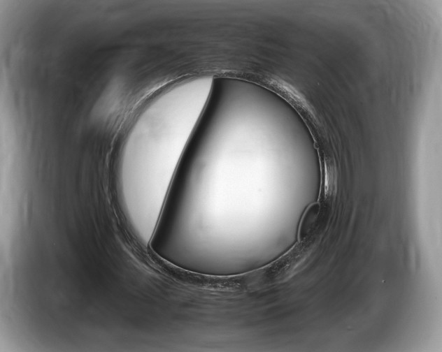 X0000087600627200704271043