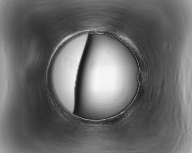 X0000087600628200704271043