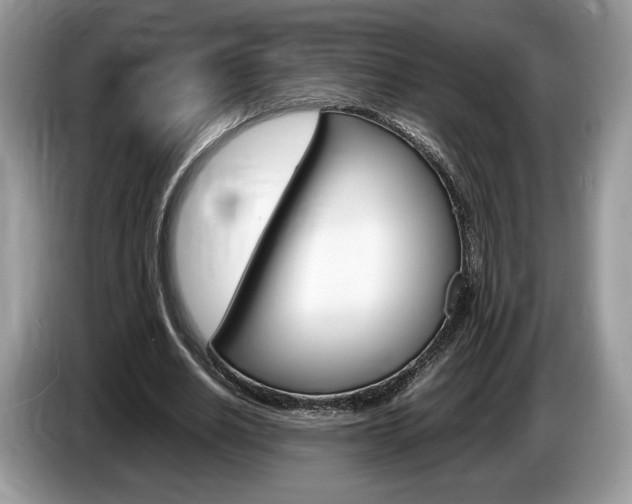 X0000087600630200704271044