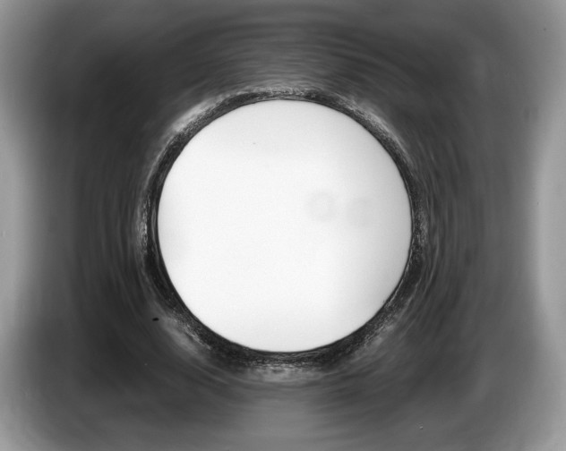 X0000087600632200704271044